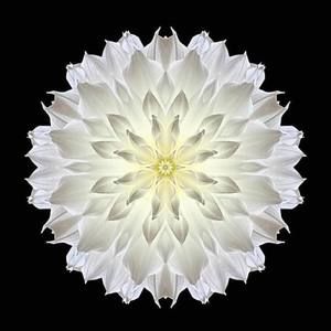 Meet your Posher, Michelle bays